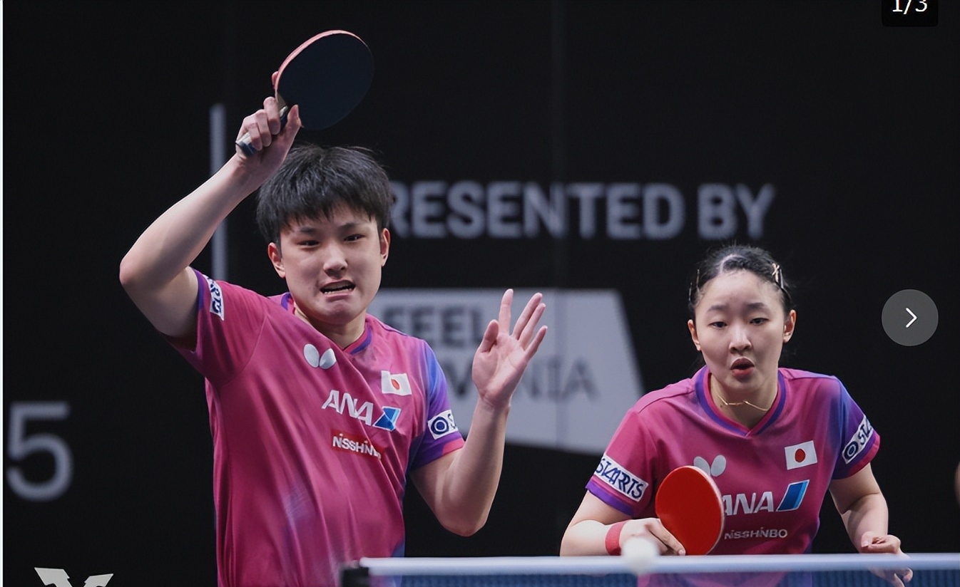 包含德国乒乓球队血洗瑞典乒乓球队,张本智和高光表现的词条 包含德国乒乓球队血洗瑞典乒乓球队,张本智和高光表现的词条