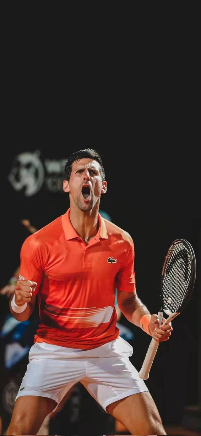 开云官网-戴维斯杯险胜法网，鲁德高光表现