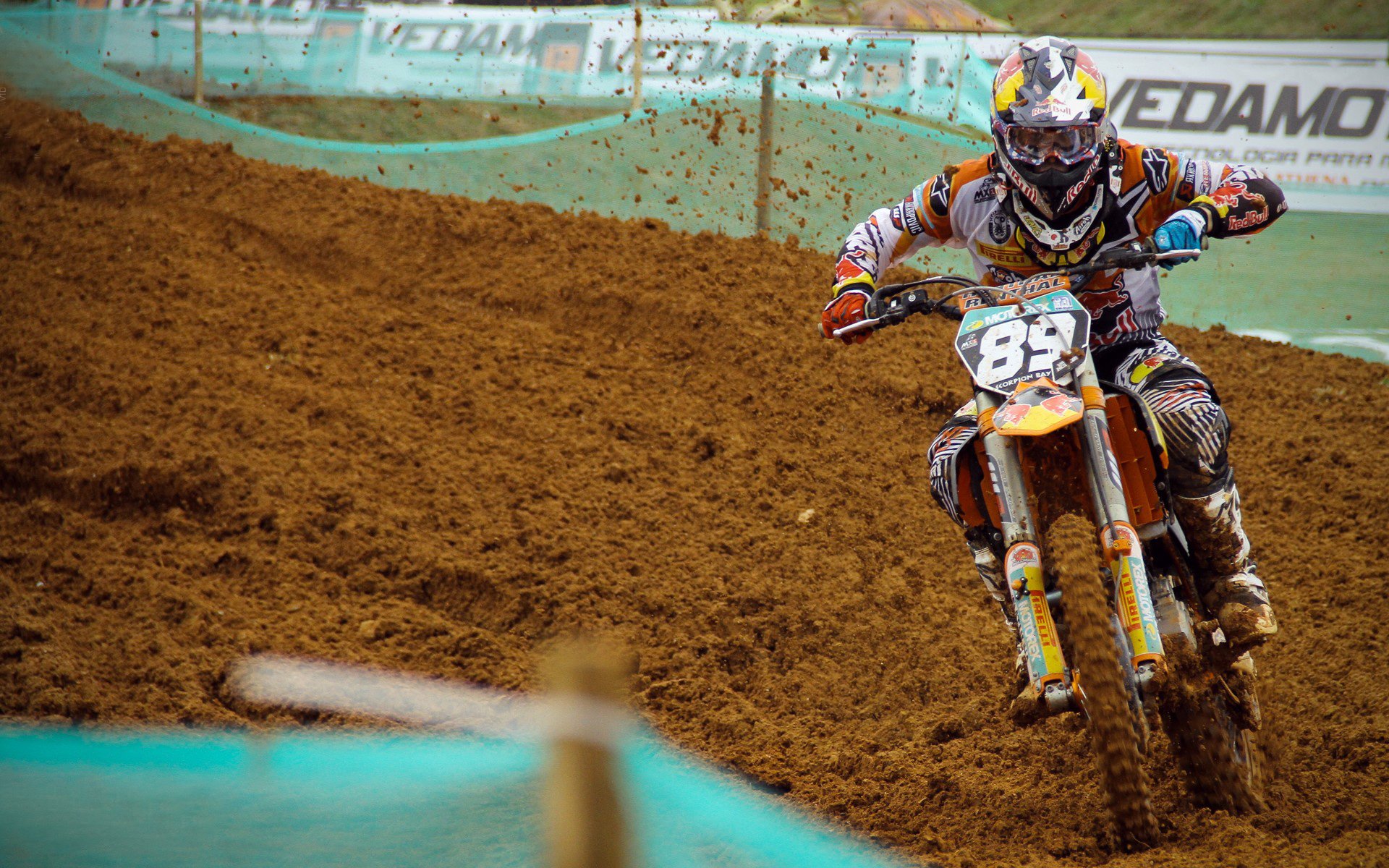 公牛铁血防守绞杀北京队,塔图姆末节封神定乾坤